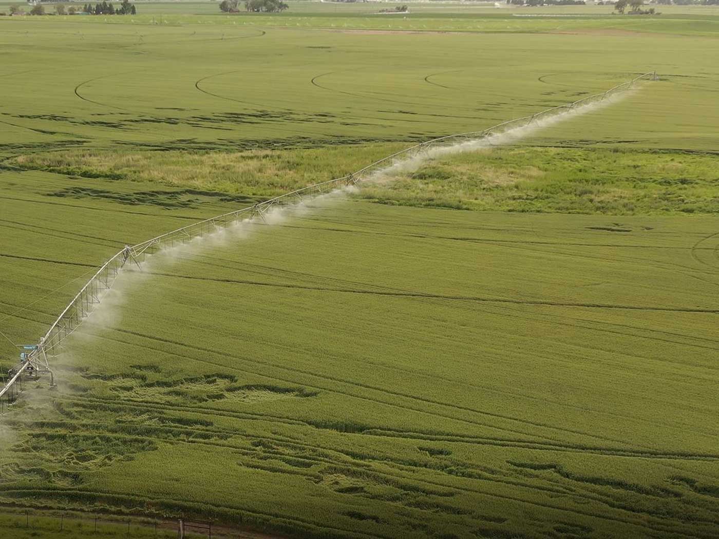 aerial-field-drone-pic